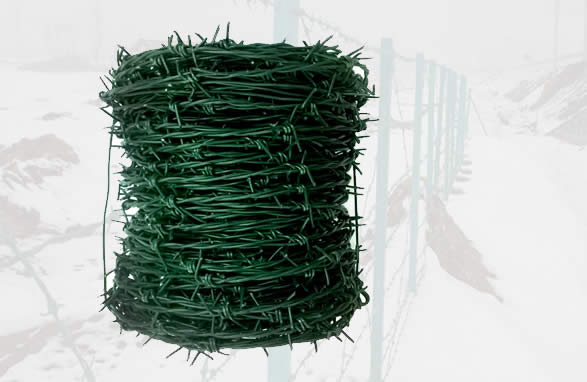 2 Strand Barbed Wire PVC Coated